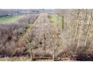 Bosgrond te koop Nederename 5738m2