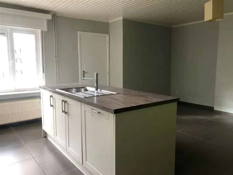 Huis te Koop Oudenaarde Centrum Nabij Scholen Winkels Station