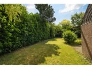 Bungalow te renoveren Ophain-Bois-Seigneur-Isaac