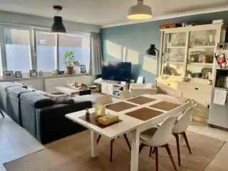 Gelijkvloers Appartement Belsele - Instapklaar met Garage