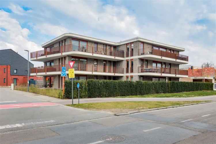 Appartement te huur Willebroek 2 slaapkamers ruim terras