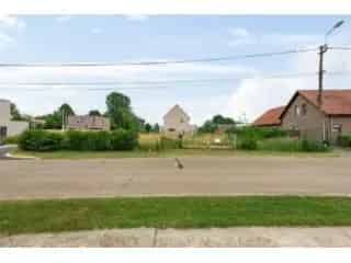 Bouwgrond Moerbeke Waas - Rustig Wonen Nabij Scholen en Winkels