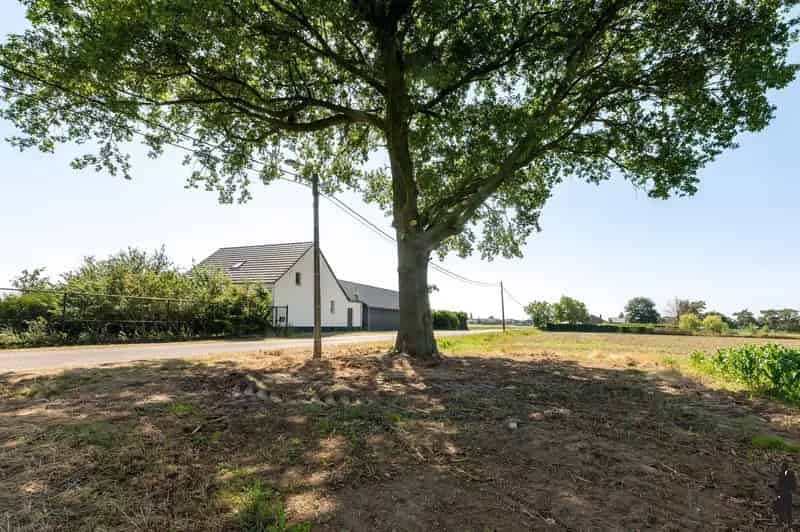 Huis te huur Weelde: Landelijke hoeve 5 slpk 2 badk