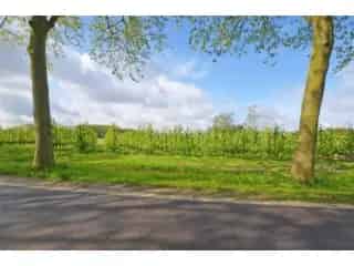 Bouwgrond Hasselt 16 are 80 Zuidwest Gezinswoning