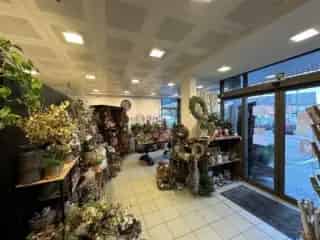 Handelspand te Koop Hechtel Eksel