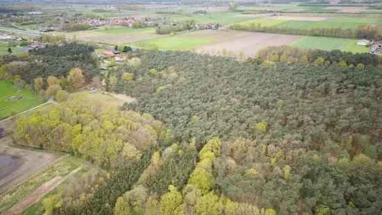 Fantastische bosgrond in Moerbeke te koop!