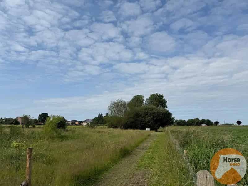 Grond te huur Humbeek: Paardenweide met stallen en piste