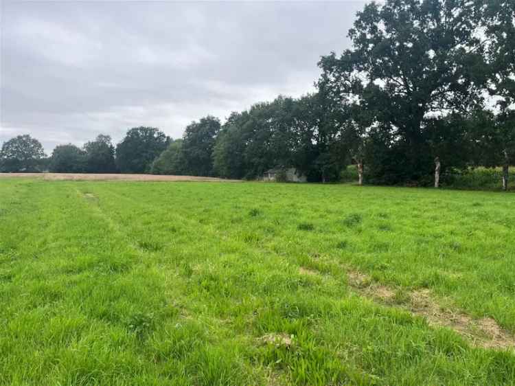 hoeve met 2,23 ha weiland