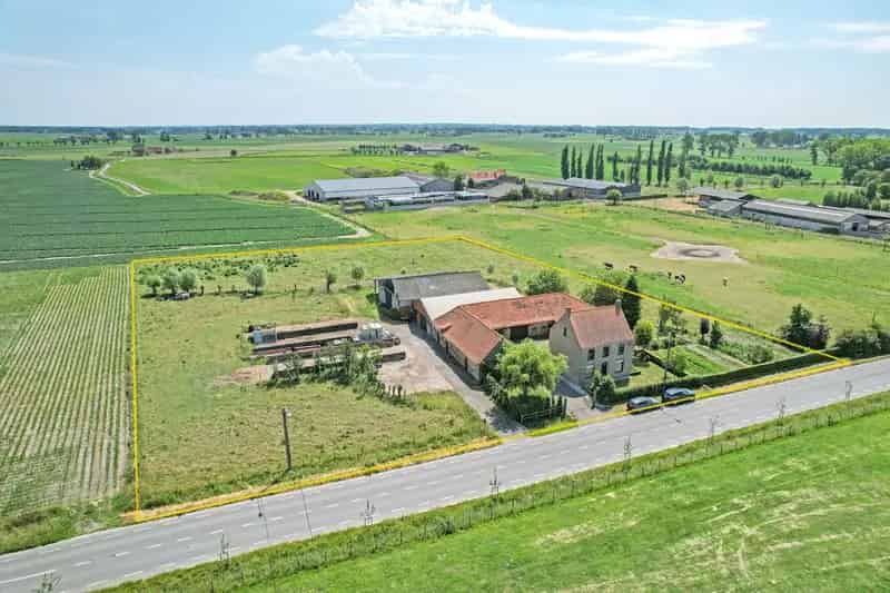 Centraal Gelegen Hoeve 11012m² Diksmuide