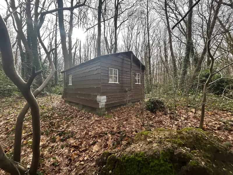 Bosperceel met Chalet nabij Ieper