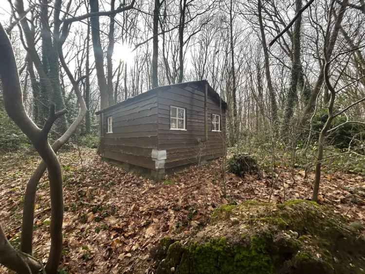 Bosperceel met Chalet nabij Ieper