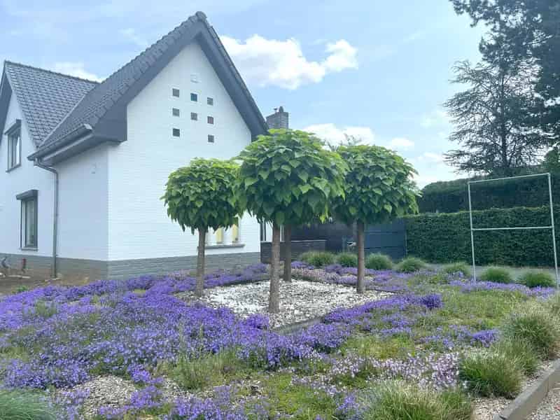 Huis te huur Diest 4 slaapkamers 2 badkamers tuin terras