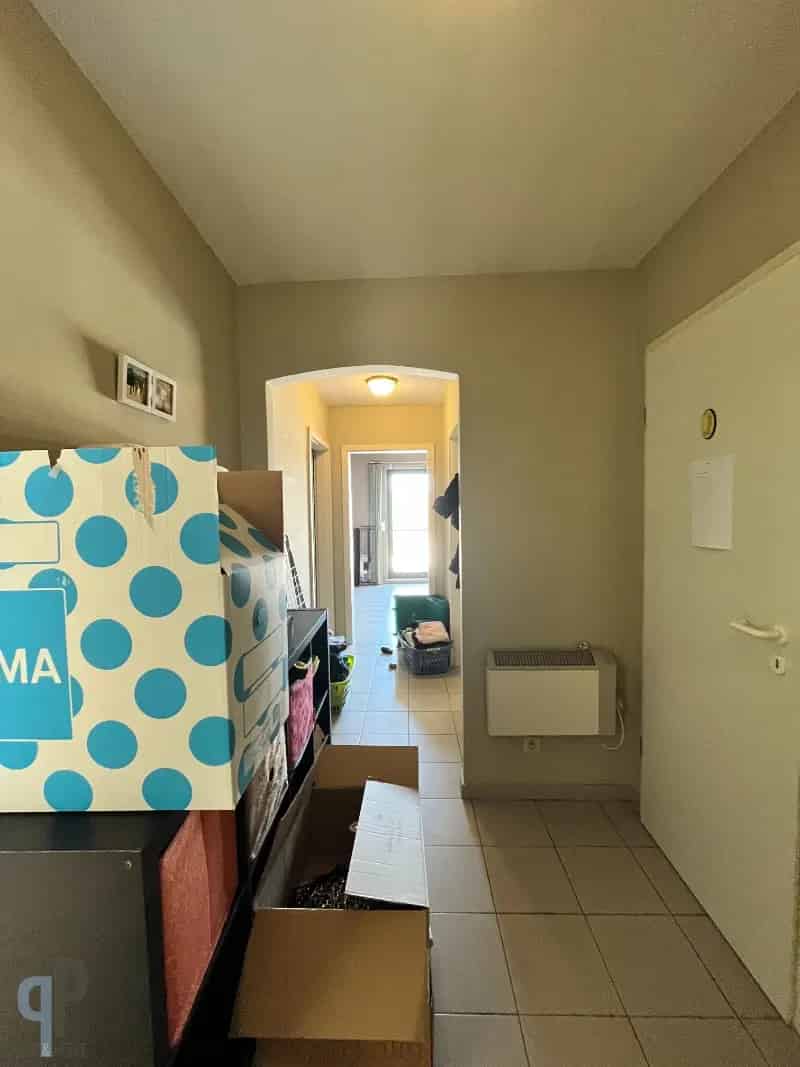 Appartement te Huur Zottegem