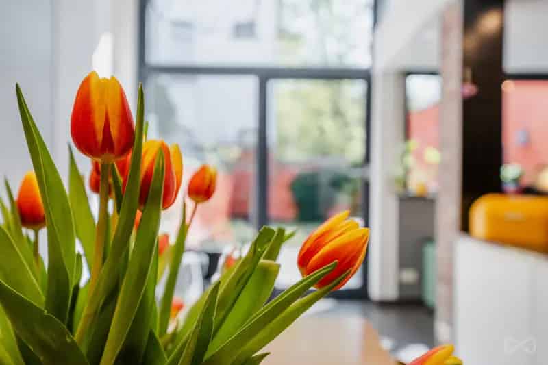 Appartement 4 slaapkamers Brussel Sint-Katelijne Dansaert