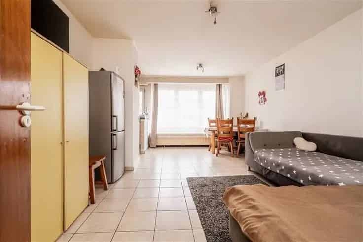 Appartement Te Koop Sint Katelijne Waver 1 Slaapkamer Zonnig Terras
