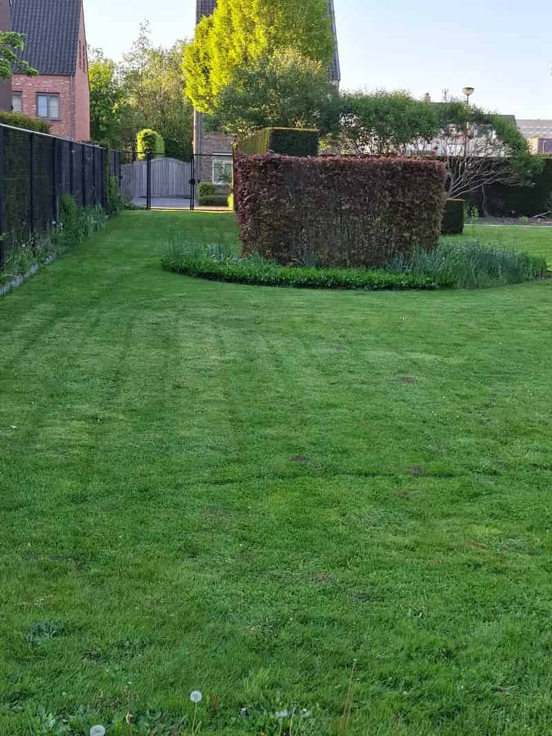 Bouwgrond Geel Elsum - Twee percelen - Zuidgerichte tuin