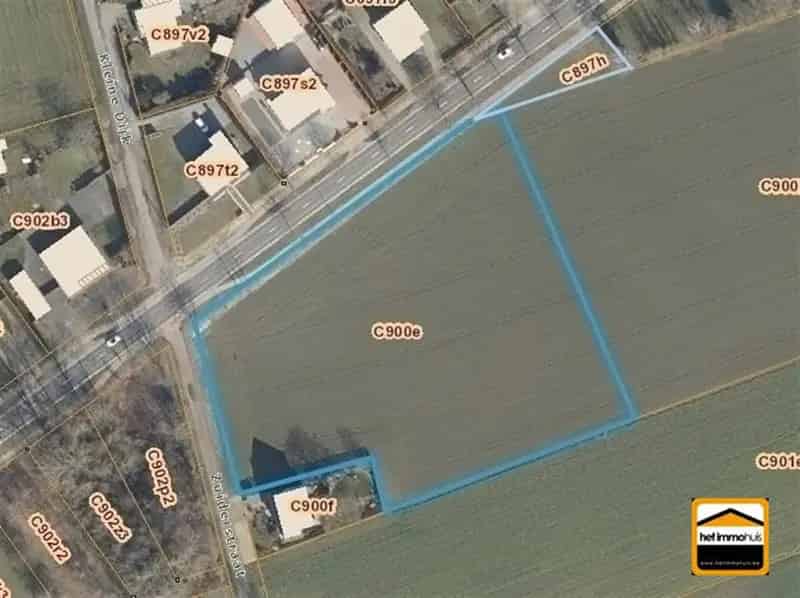 Landbouwgrond te koop Peer 92a 50ca Weiland