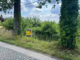 Grond te koop Sinaai - Bosperceel aan straatkant