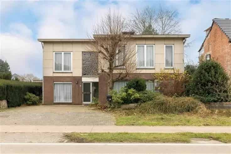 Huis Te Koop Geel Zammel 5 Slaapkamers Grote Tuin