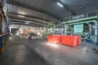 Industrie te huur - Waregem RBM59195