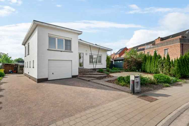 Huis te huur Rijkevorsel: 3 slaapkamers, tuin, zonnepanelen