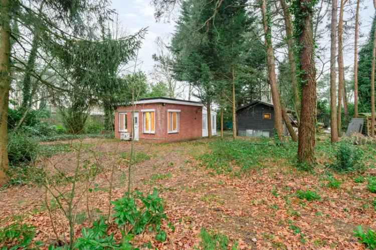 Huis en Chalet te huur nabij Zandvliet