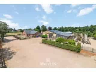 Handelspand te koop Tessenderlo - 5 slaapkamers 3 vakantiewoningen