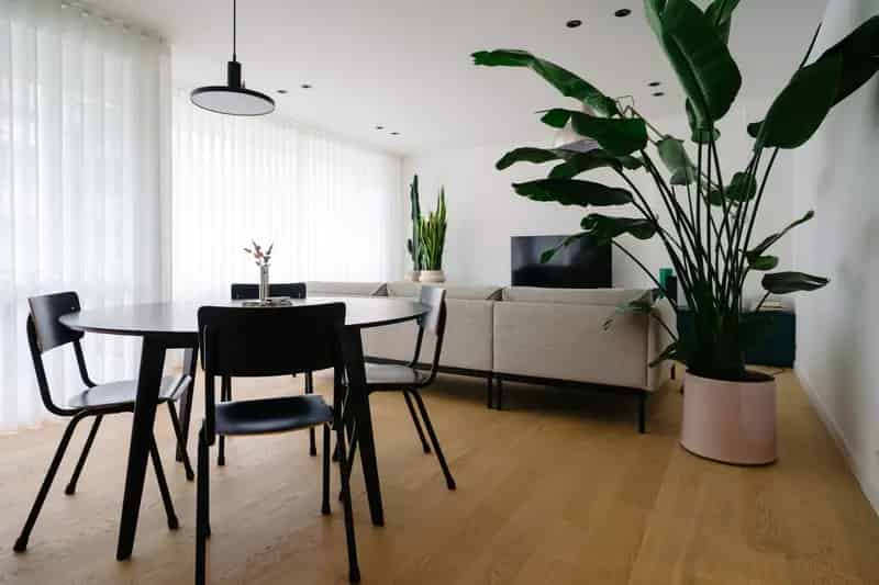 Appartement te koop: Vernieuwd 3 Slaapkamers, Terras, Centrale Ligging