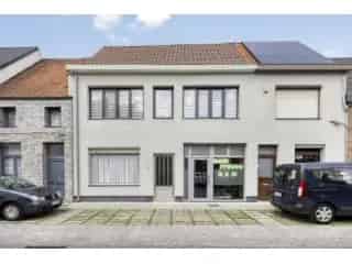 Handelspand te koop Lokeren