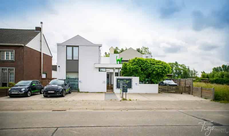 Huis te koop Sint-Amands: Architectenwoning met zwemvijver en grote tuin