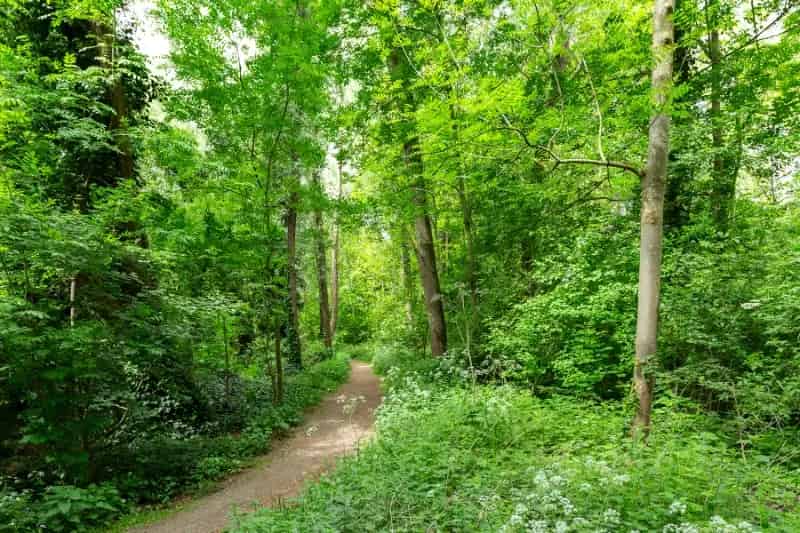 Huis te koop Ruime HOB met tuin en parkzicht