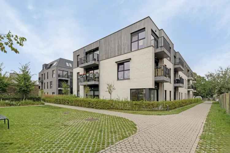 Assistentieflat te koop Maldegem - Nieuwbouw met terras