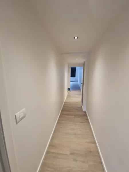 Appartement te huur Dendermonde