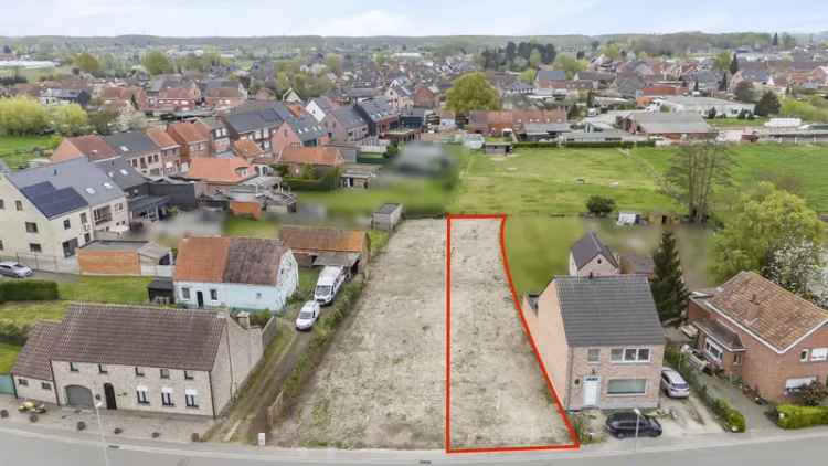 Bouwgrond te koop Moerzeke Hamme 503m²
