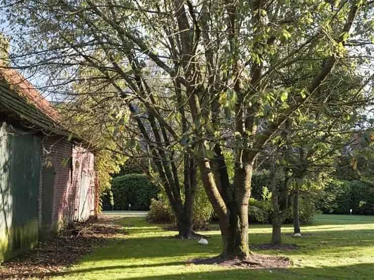 Gerenoveerde hoeve met schuren te koop