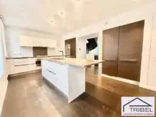 Huis te Koop Ukkel Loft Stijl 314m² 3 slaapkamers 3 badkamers