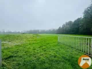 Landbouwgrond te koop Nazareth - Weide met schuilstal