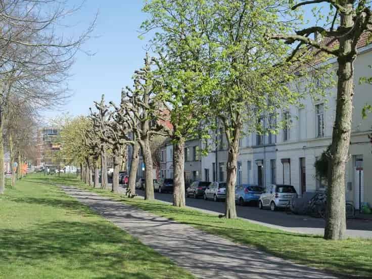 Studio Te Koop Gent Nabij Dok Noord