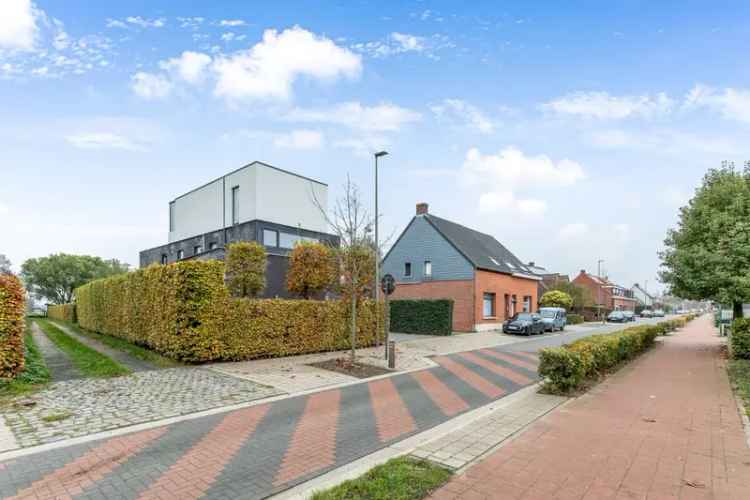 Weiland met 4 Paardenstallen te Koop in Hoevenen