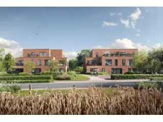 De Lijsters Merelbeke Project
