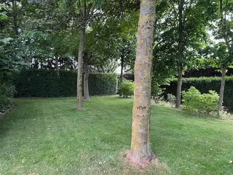 Huis te koop in Lochristi