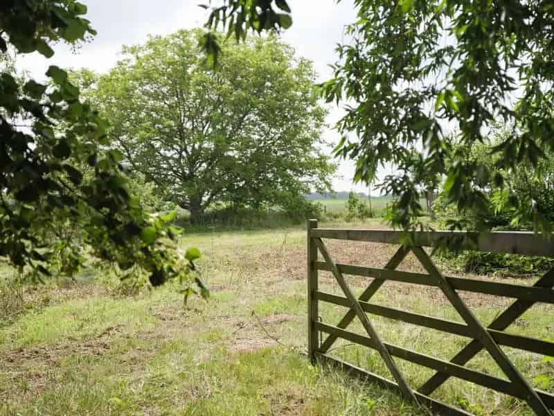 Dikkelvenne – Terrein van 2.179 m² met op heden nog een te renoveren hoeve, omgeven door groen en weides.