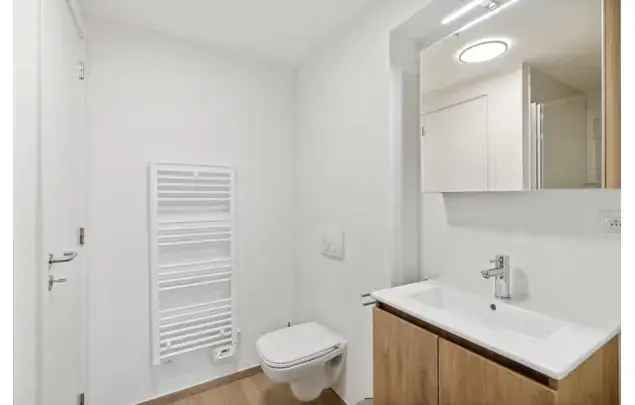 Huur 1 slaapkamer appartement van 525 m² in Brussels