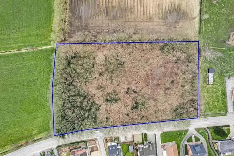 Grond te koop Sint-Katelijne-Waver 9058m2 Perceel met bomen