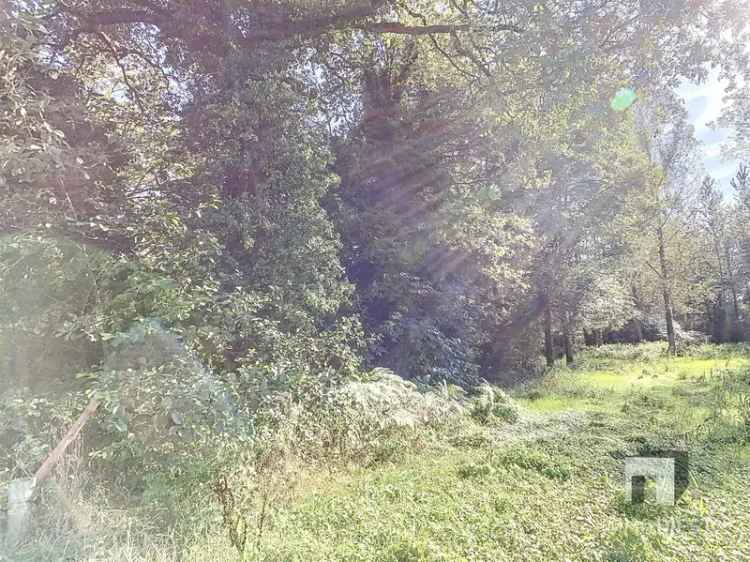 Grond met een oppervlakte van 79a 45ca - natuurgebied