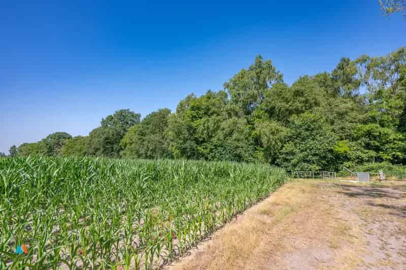 Natuurgrond te Huur in Meer Nabij Nederlandse Grens
