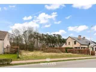 Bouwgrond te koop Ham Tessenderlo 16a 62ca