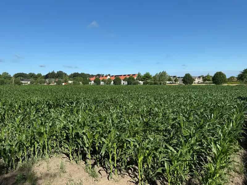 Bouwgrond te Essen 898m² Landelijk Woning Open Bebouwing