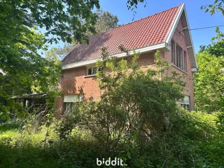 Landbouwgrond te Moerbeke 61618m² Lot 2