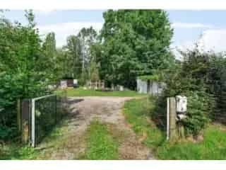 Huis te koop Rijmenam Chalet te renoveren 10 are